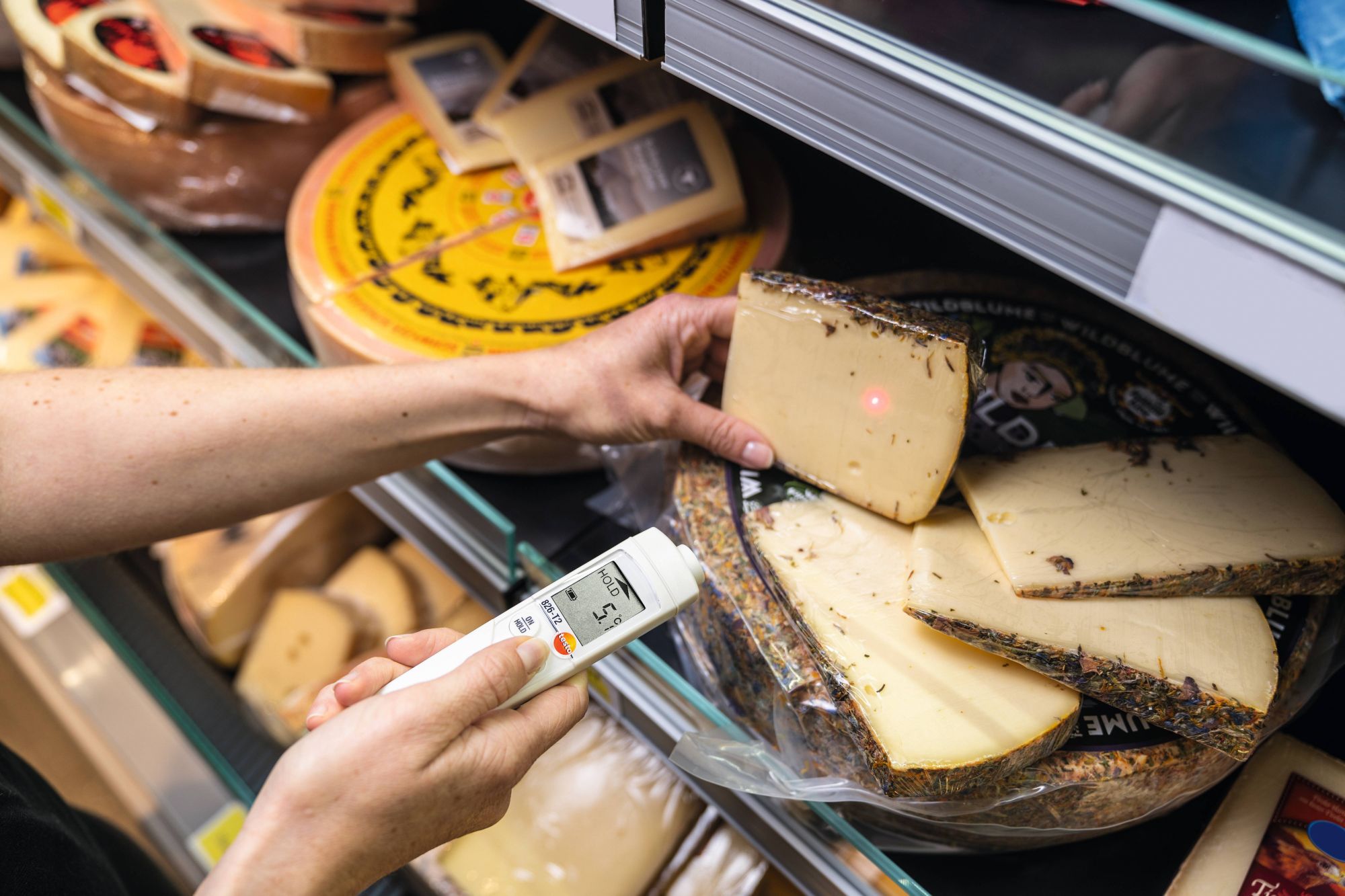 Testo 826 - Penetration infrared thermometer - Image 2